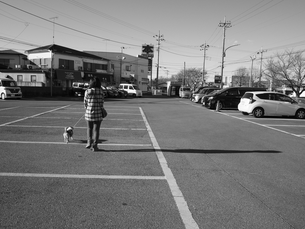 カゲ