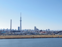 sky tree