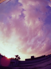 go home