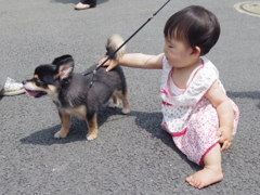 暫定チャンピオン