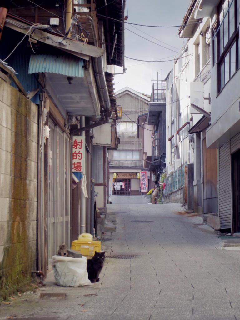 a town of hot spring #1