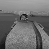 R0012706