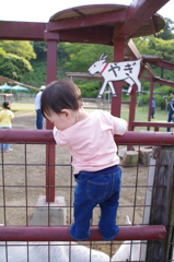 no afraid