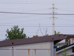 Pentax Q7 × 06 Telephoto zoom