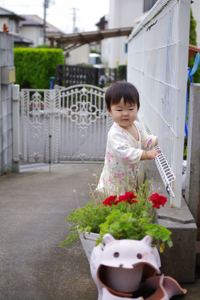 IMGP6539