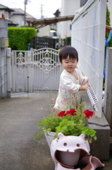 IMGP6539