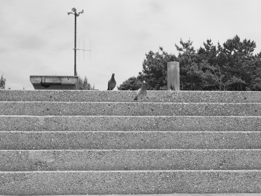 階段バト