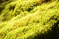DSC_1191
