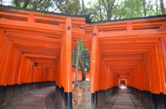 誘いの路