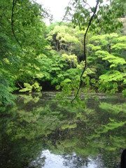 DSC03018