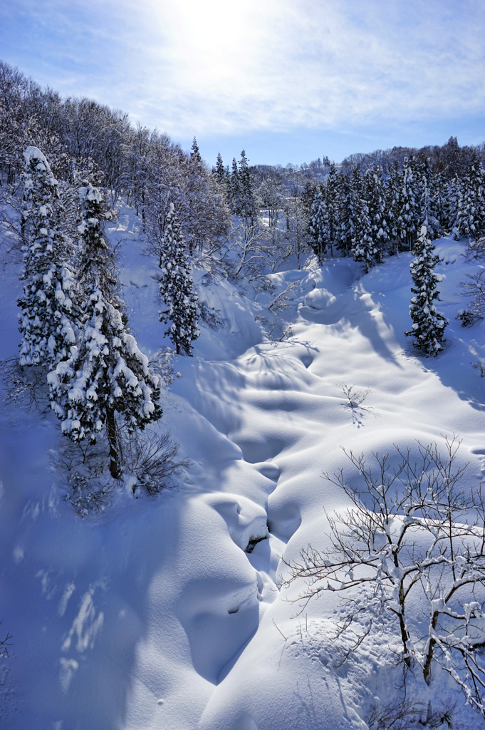 雪の呼ぶ場所