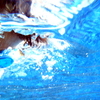 SPLASH!?