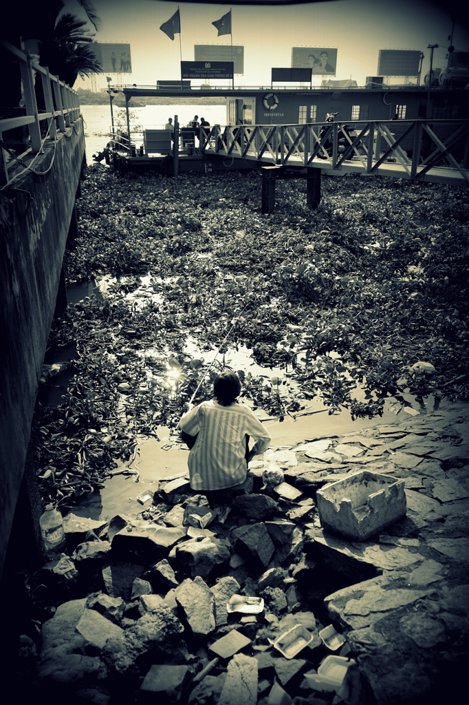 fish in urban jungle