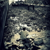 fish in urban jungle