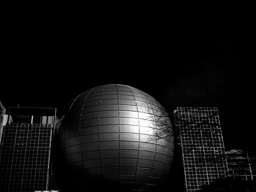 IMG_7779