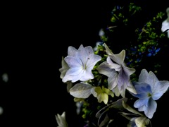 IMG_2276