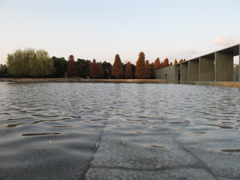 水面
