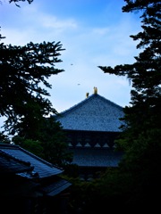 東大寺４