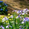 IMG_0659