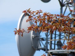 IMG_0756
