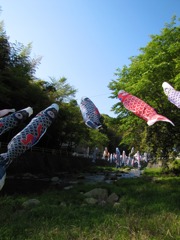 空をめざして