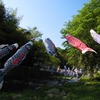 空をめざして