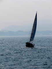 セイリング
