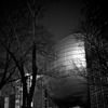 IMG_7739