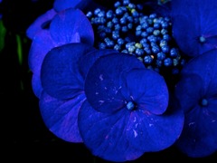 IMG_2300