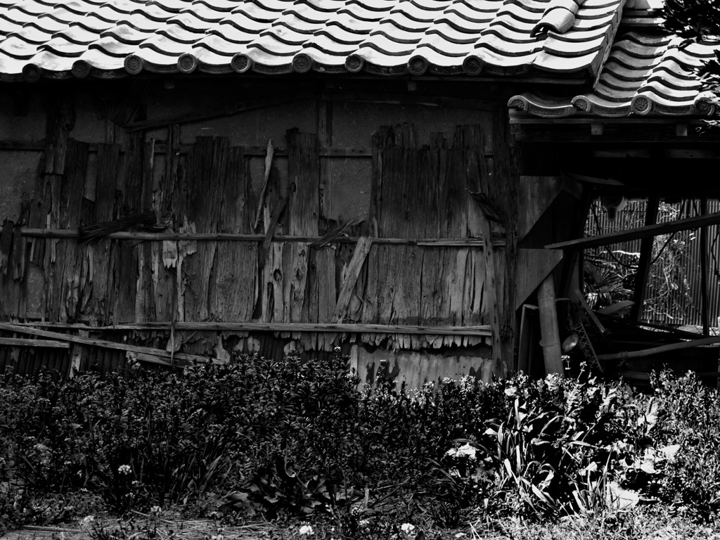 廃屋を横目に