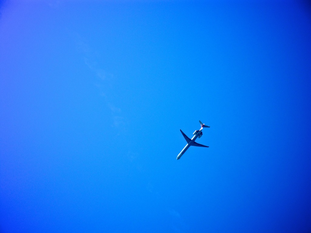 そして青い空　島を満喫していたら・・・