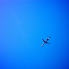 そして青い空　島を満喫していたら・・・