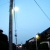 ほたる