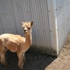 こんにちは