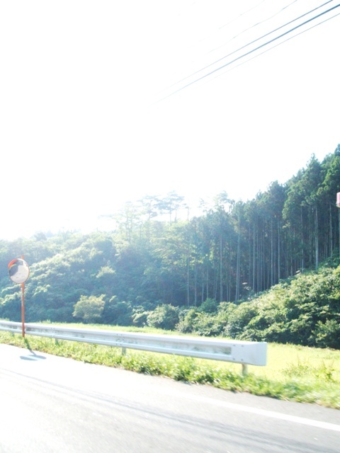 夏の昼下がり