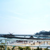 海