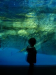 水族館