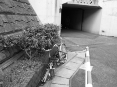 自転車