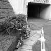自転車