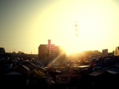 夕日
