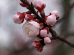 P3076921