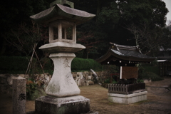 P1010211a