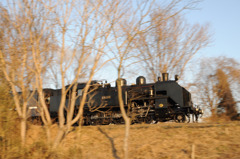 疾走 C11 325