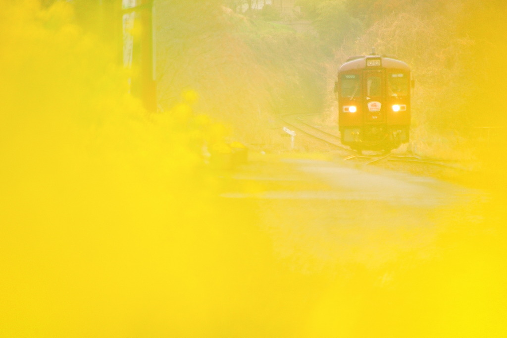 Yellow magic