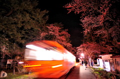 津軽・夜桜鉄道