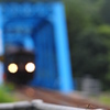トンボの勝ち！