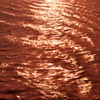 Wake