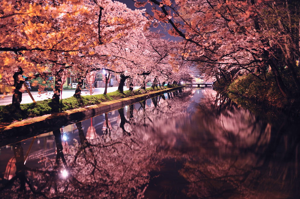 北濠の夜景