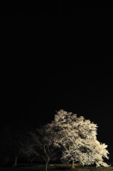 孤高