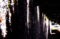光跡